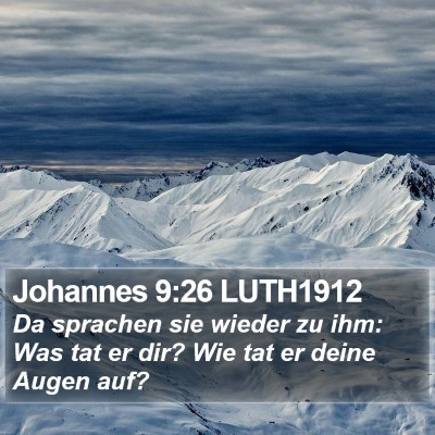 Johannes 9:26 LUTH1912 Bible Verse Image