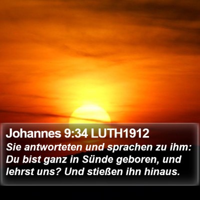 Johannes 9:34 LUTH1912 Bible Verse Image