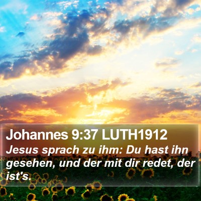 Johannes 9:37 LUTH1912 Bible Verse Image