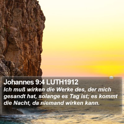 Johannes 9:4 LUTH1912 Bible Verse Image