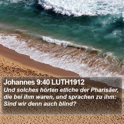 Johannes 9:40 LUTH1912 Bible Verse Image