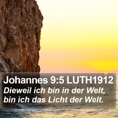 Johannes 9:5 LUTH1912 Bible Verse Image