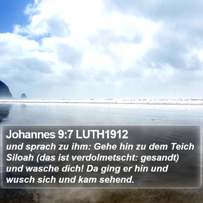 Johannes 9:7 LUTH1912 Bible Verse Image