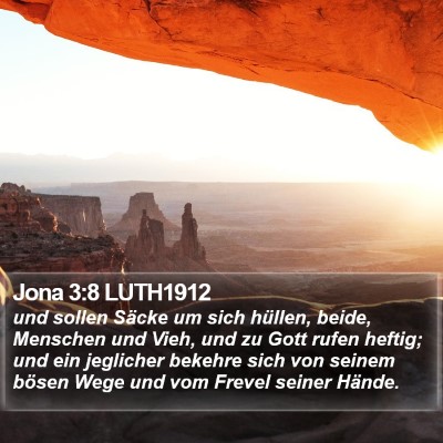 Jona 3:8 LUTH1912 Bible Verse Image