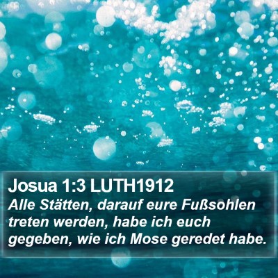 Josua 1:3 LUTH1912 Bible Verse Image