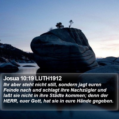 Josua 10:19 LUTH1912 Bible Verse Image