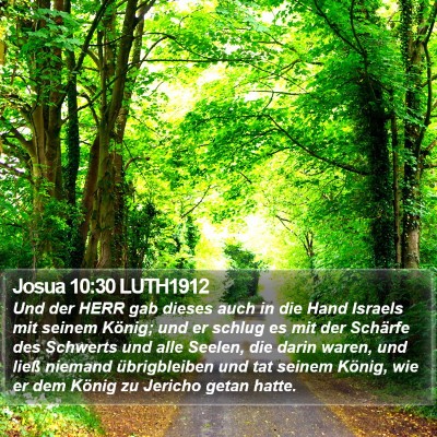 Josua 10:30 LUTH1912 Bible Verse Image
