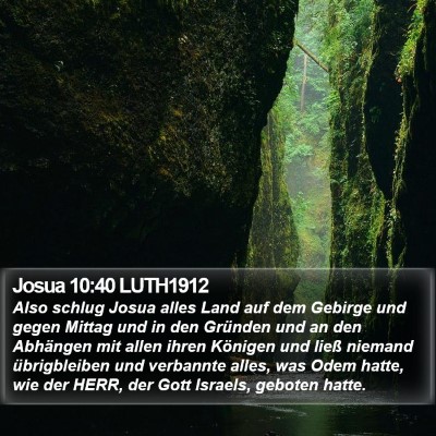 Josua 10:40 LUTH1912 Bible Verse Image
