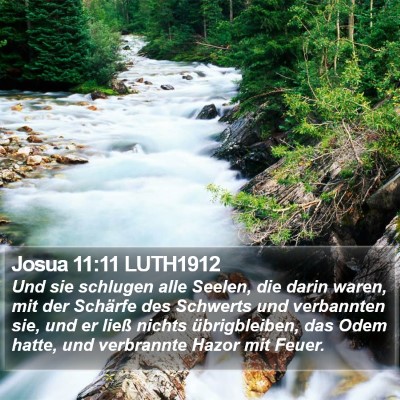 Josua 11:11 LUTH1912 Bible Verse Image
