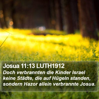 Josua 11:13 LUTH1912 Bible Verse Image