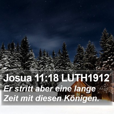 Josua 11:18 LUTH1912 Bible Verse Image