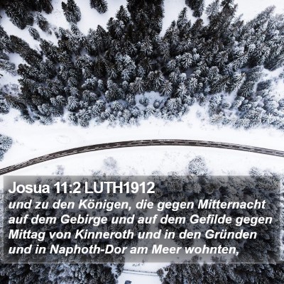 Josua 11:2 LUTH1912 Bible Verse Image