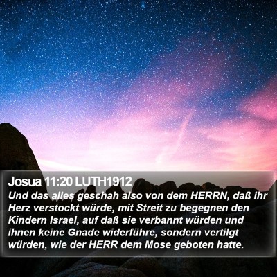 Josua 11:20 LUTH1912 Bible Verse Image