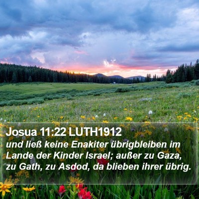 Josua 11:22 LUTH1912 Bible Verse Image
