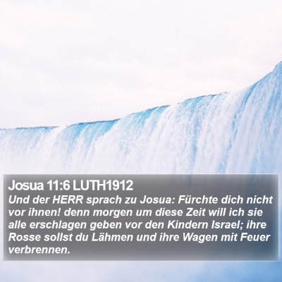 Josua 11:6 LUTH1912 Bible Verse Image