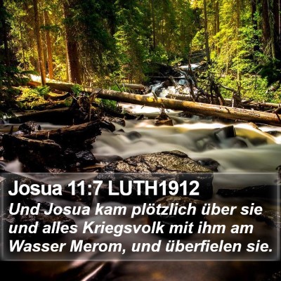 Josua 11:7 LUTH1912 Bible Verse Image