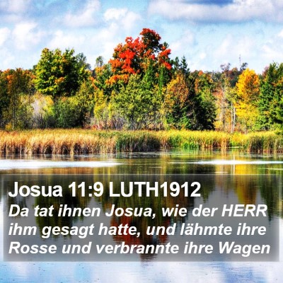 Josua 11:9 LUTH1912 Bible Verse Image
