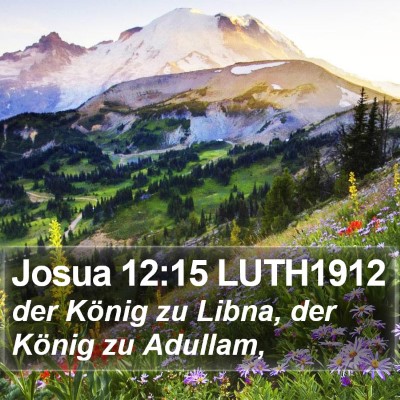 Josua 12:15 LUTH1912 Bible Verse Image