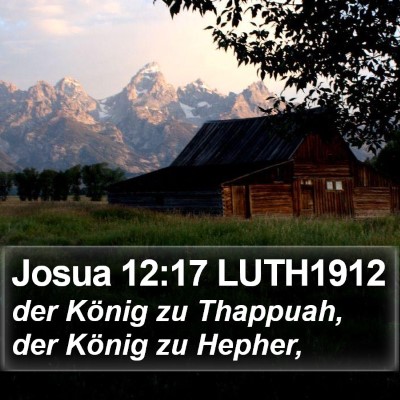 Josua 12:17 LUTH1912 Bible Verse Image