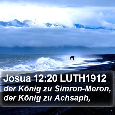 Josua 12:20 LUTH1912 Bible Verse Image