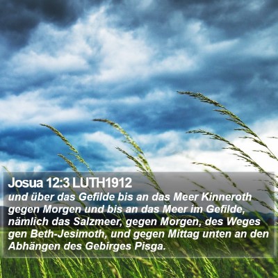 Josua 12:3 LUTH1912 Bible Verse Image