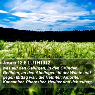 Josua 12:8 LUTH1912 Bible Verse Image