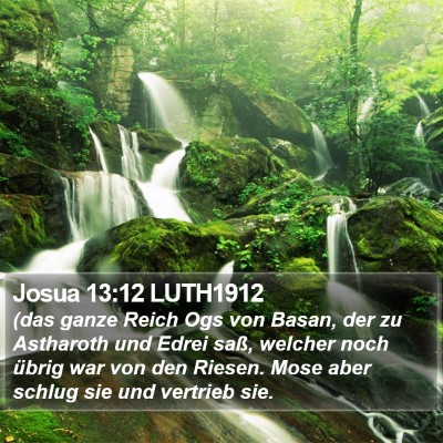 Josua 13:12 LUTH1912 Bible Verse Image
