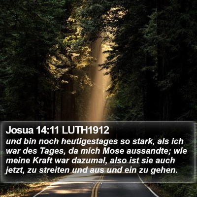 Josua 14:11 LUTH1912 Bible Verse Image
