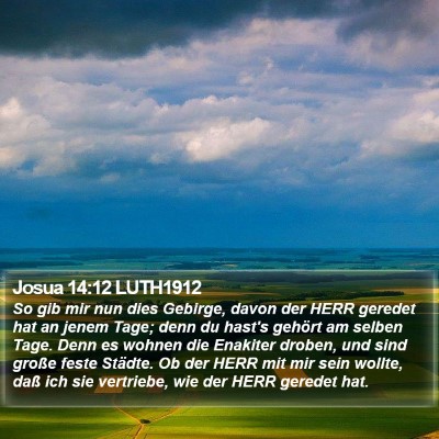 Josua 14:12 LUTH1912 Bible Verse Image