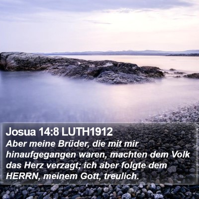 Josua 14:8 LUTH1912 Bible Verse Image