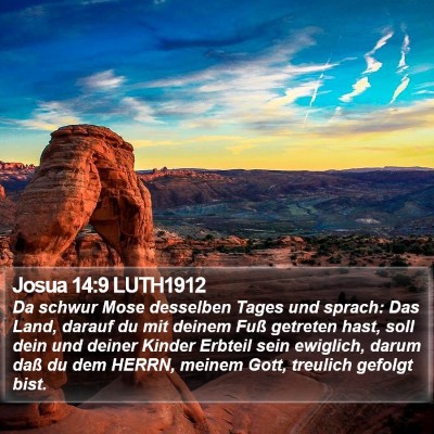 Josua 14:9 LUTH1912 Bible Verse Image