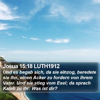 Josua 15:18 LUTH1912 Bible Verse Image