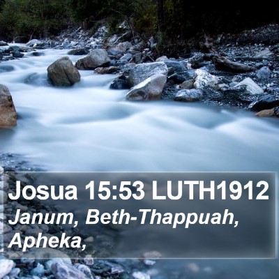 Josua 15:53 LUTH1912 Bible Verse Image