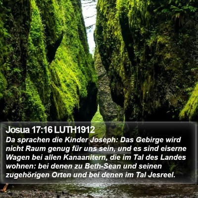 Josua 17:16 LUTH1912 Bible Verse Image