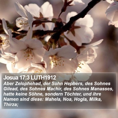 Josua 17:3 LUTH1912 Bible Verse Image