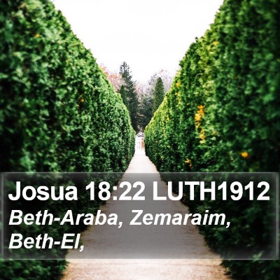 Josua 18:22 LUTH1912 Bible Verse Image