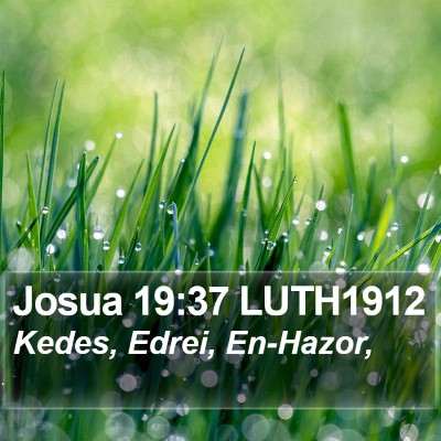 Josua 19:37 LUTH1912 Bible Verse Image