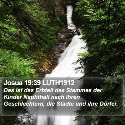 Josua 19:39 LUTH1912 Bible Verse Image