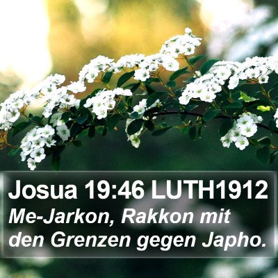 Josua 19:46 LUTH1912 Bible Verse Image