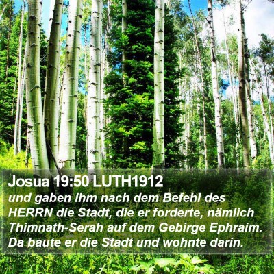 Josua 19:50 LUTH1912 Bible Verse Image