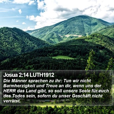 Josua 2:14 LUTH1912 Bible Verse Image