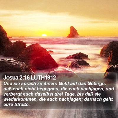 Josua 2:16 LUTH1912 Bible Verse Image