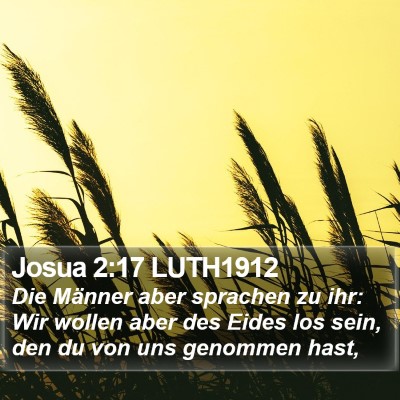 Josua 2:17 LUTH1912 Bible Verse Image