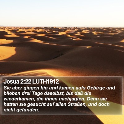 Josua 2:22 LUTH1912 Bible Verse Image