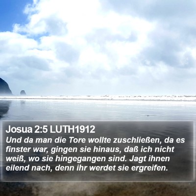 Josua 2:5 LUTH1912 Bible Verse Image