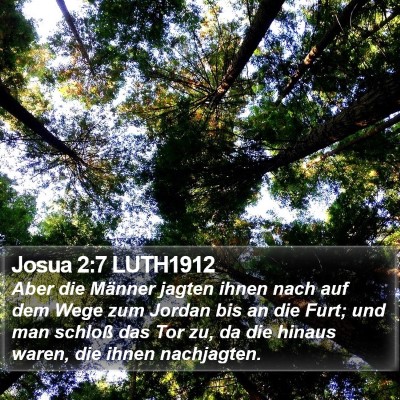 Josua 2:7 LUTH1912 Bible Verse Image