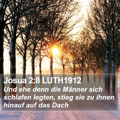 Josua 2:8 LUTH1912 Bible Verse Image