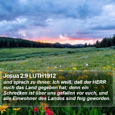 Josua 2:9 LUTH1912 Bible Verse Image
