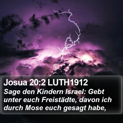 Josua 20:2 LUTH1912 Bible Verse Image
