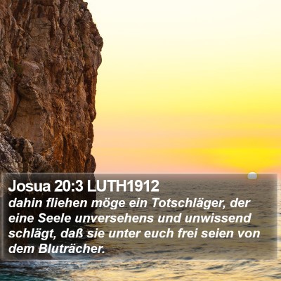 Josua 20:3 LUTH1912 Bible Verse Image